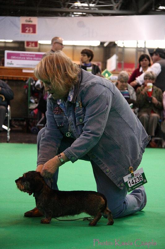 Crufts2011_2 1632.jpg